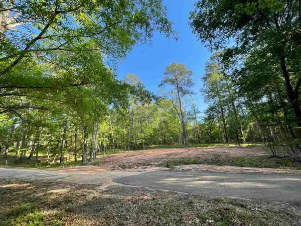 179 Woodsedge Drive, Brookeland, TX 75931