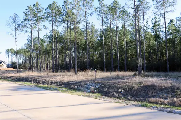 Lot 11 Tatanka Trail, Brookeland, TX 75931