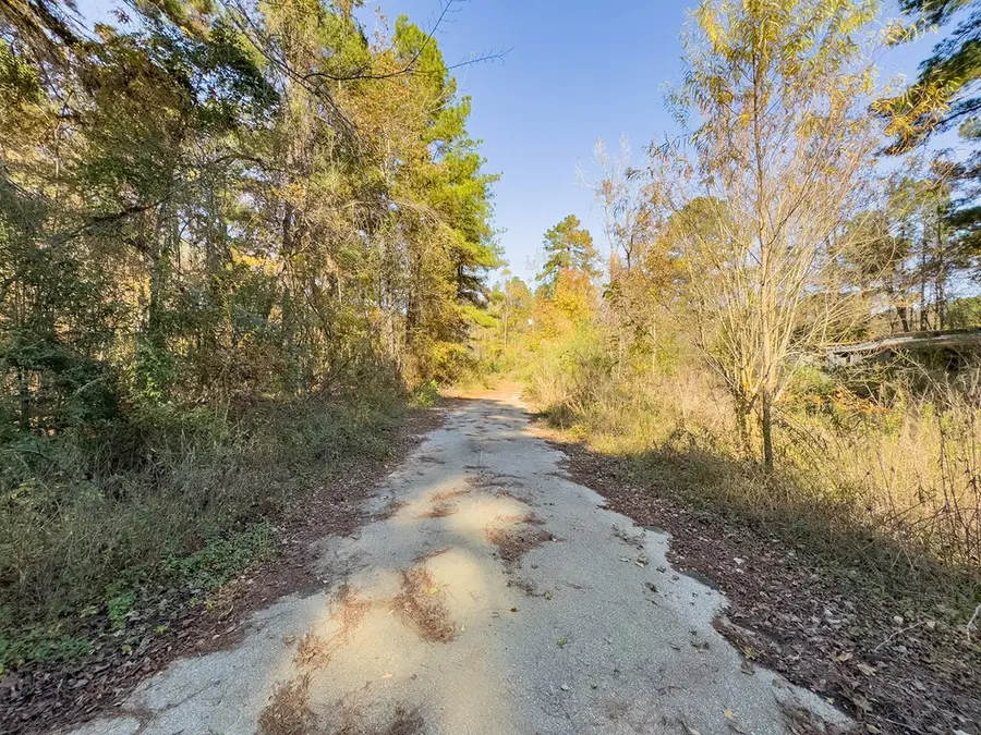 R75043 Kansas Street, Huntington, TX 75949 - #3