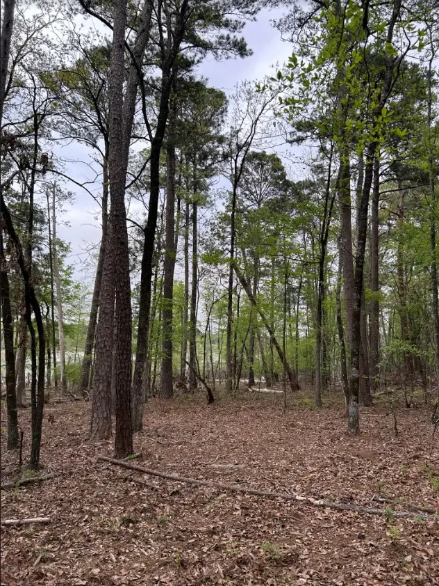 R12357 -Lot 102 Fm 705, Broaddus, TX 75929 - #3