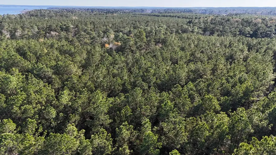 R12357 Lot 69 Fm 705, Broaddus, TX 75929 - #3