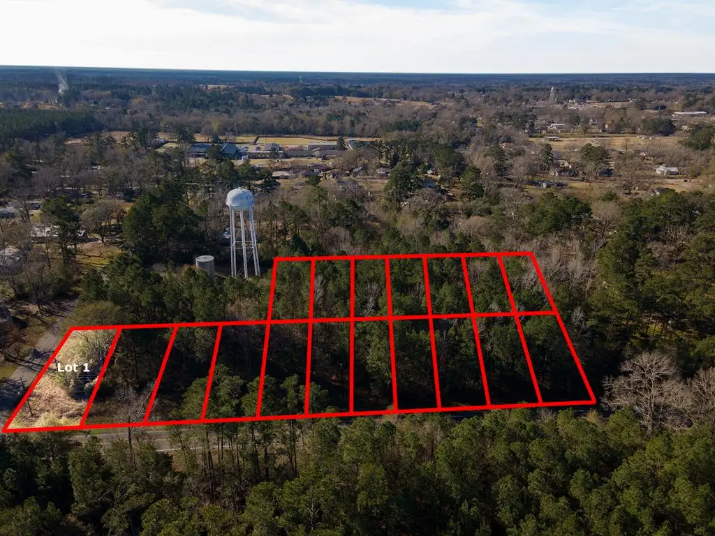 R41005 Fm 2109, Huntington, TX 75949 - #1