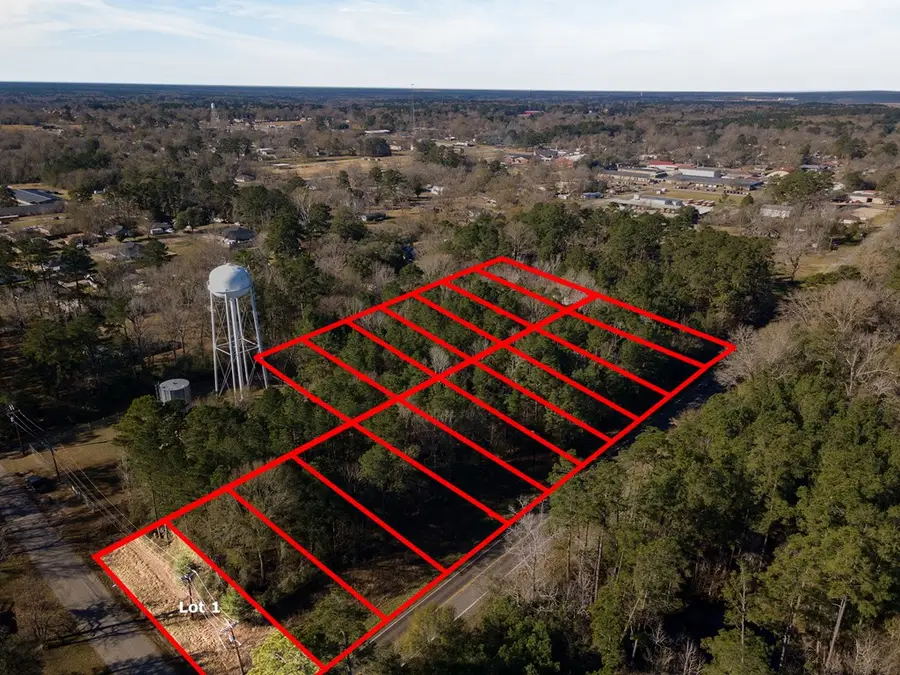 R41005 Fm 2109, Huntington, TX 75949 - #2