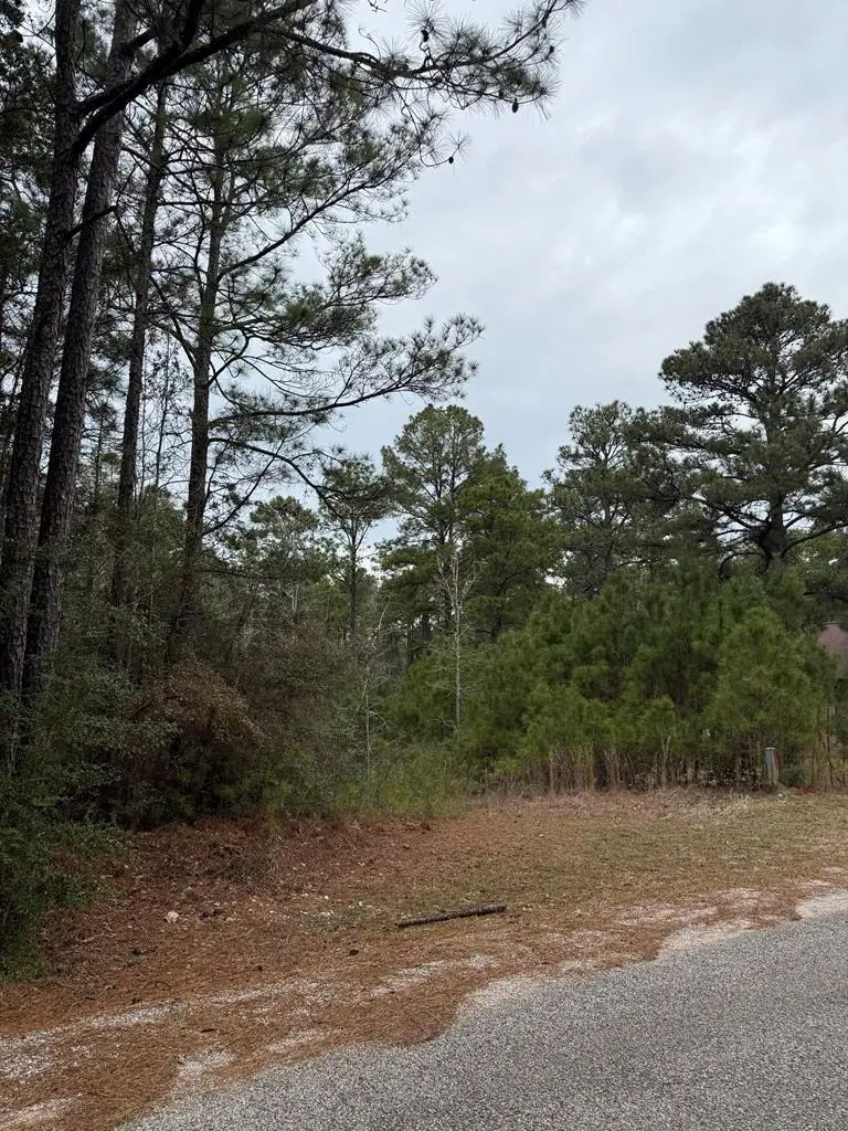 10 Pine Hollow Cove, Brookeland, TX 75931 - #1