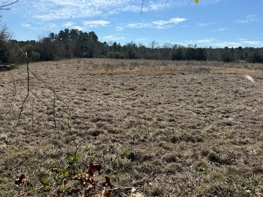 R10334 Basham Road, Pollok, TX 75969 - #1