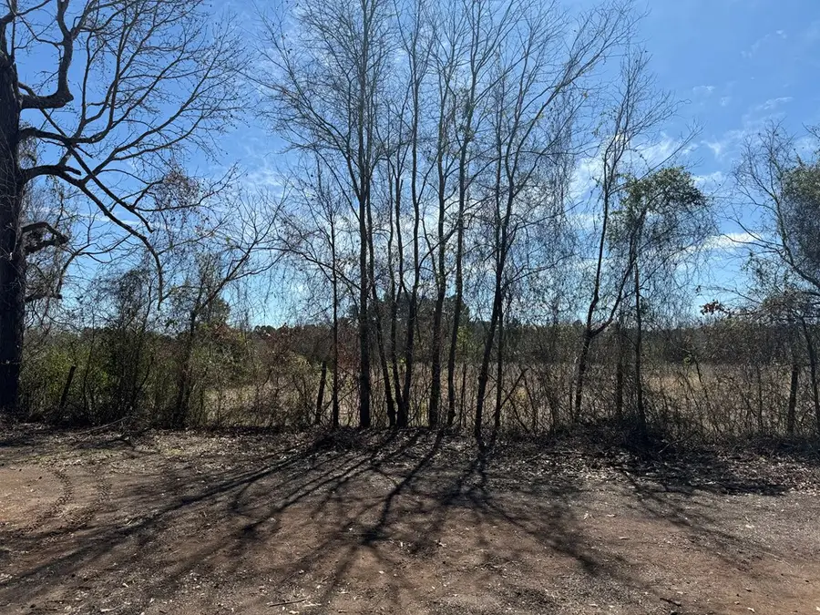 R10334 Basham Road, Pollok, TX 75969 - #3