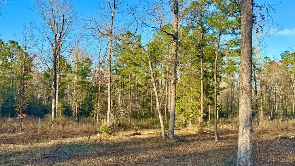 2165 Dorsey Road, Hemphill, TX 75948 - #1