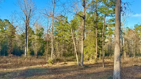 2165 Dorsey Road, Hemphill, TX 75948