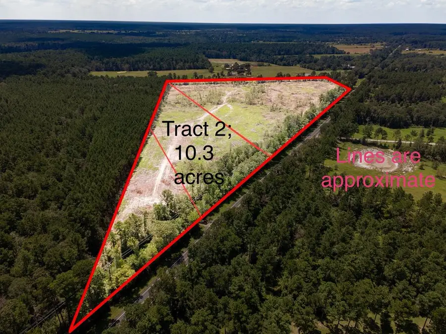 R53358 Tract 1 Hwy 94, Apple Springs, TX 75926 - #2