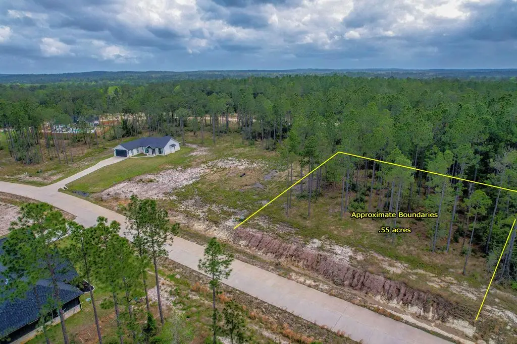 139 Crazy Horse Drive, Brookeland, TX 75931 - #1
