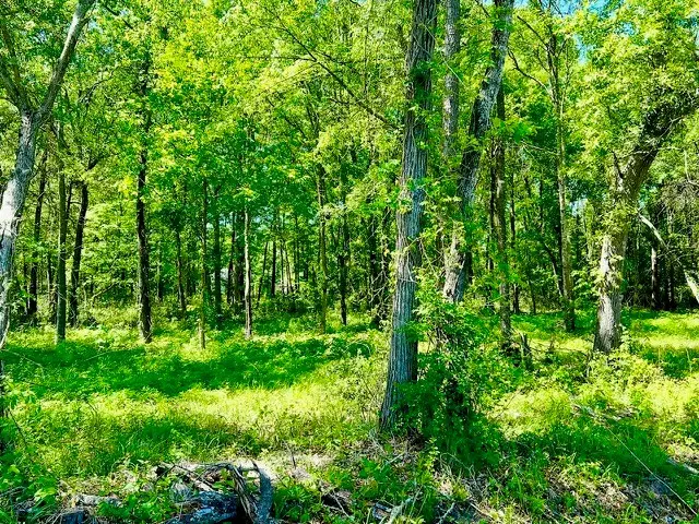 Lot 12 Minnie Lou, Lufkin, TX 75904 - #2