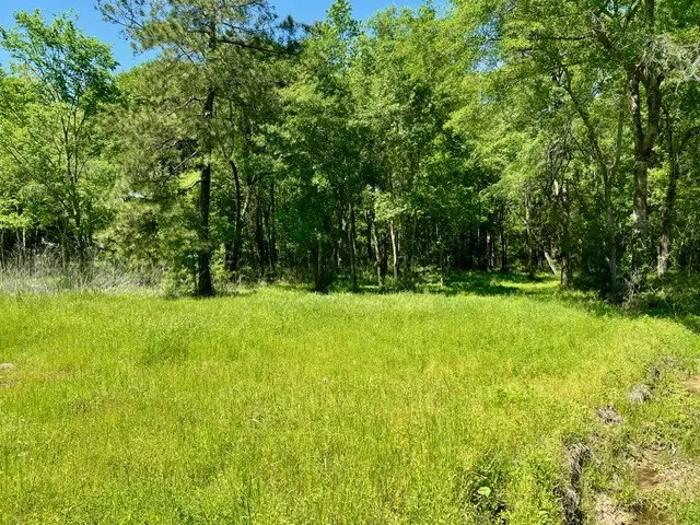 Lot 12 Minnie Lou, Lufkin, TX 75904 - #3