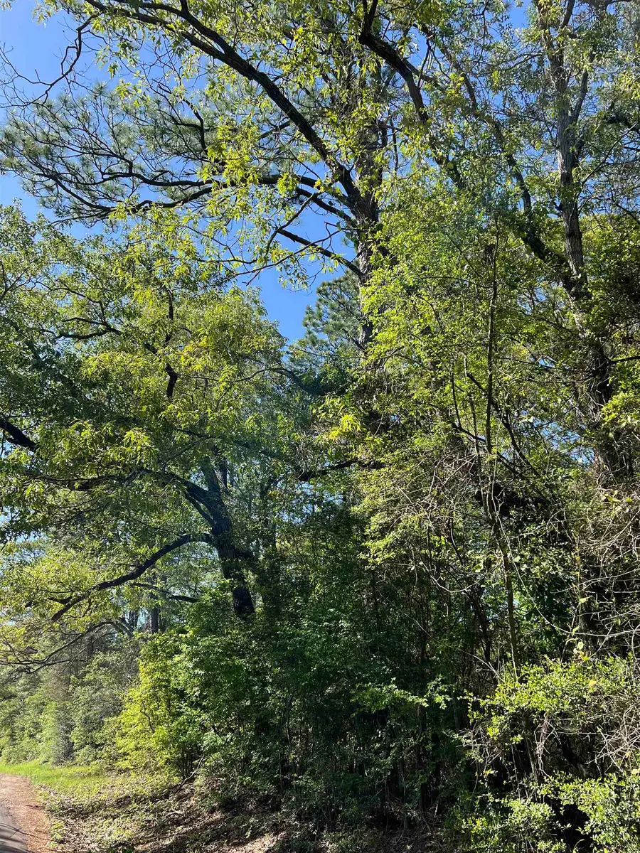 370 Cr 222, Brookeland, TX 75931 - #2