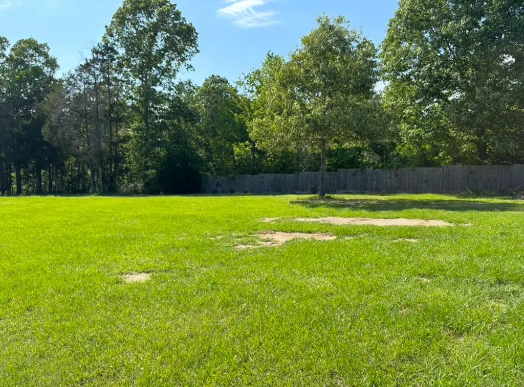 128 Fuller Street, Hemphill, TX 75948 - #1