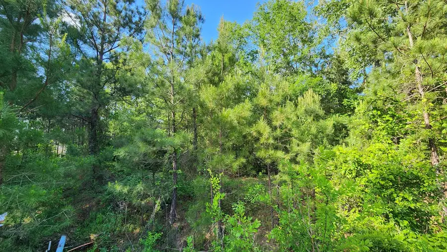 297 White Oak Lane, Lufkin, TX 75904 - #2