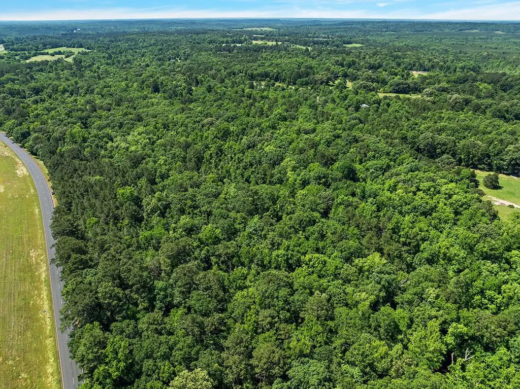 10 acres Hwy 69 South, Alto, TX 75925 - #1
