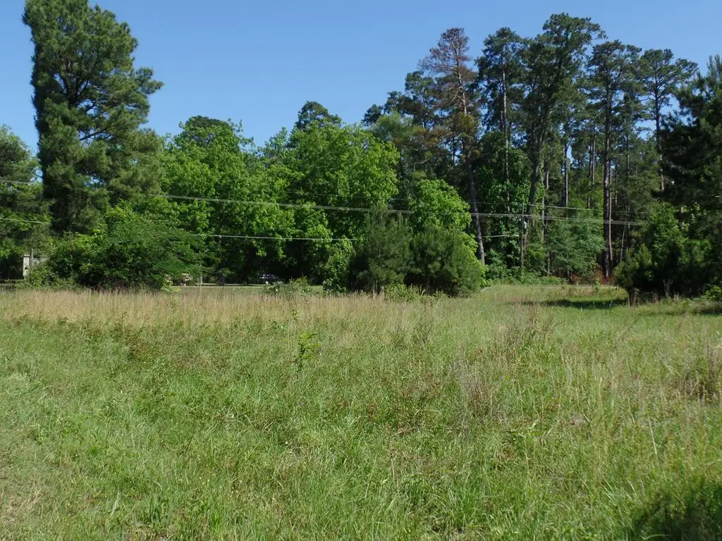 5185 Sh 21 E, Hemphill, TX 75948 - #1