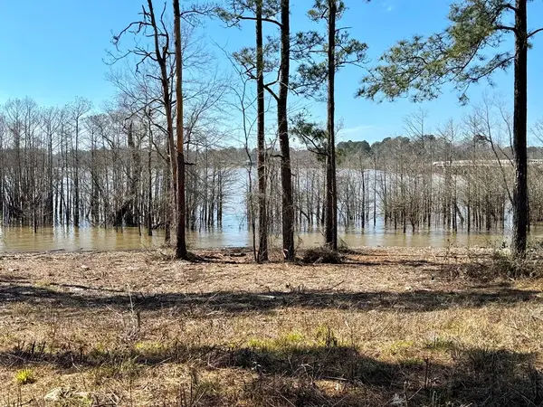 Lot 004 Fm 83, Broaddus, TX 75929