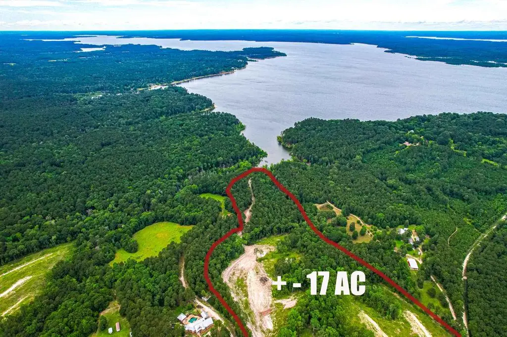 3 A375 tract 6 Moore Farm Road, Zavalla, TX 75980 - #1
