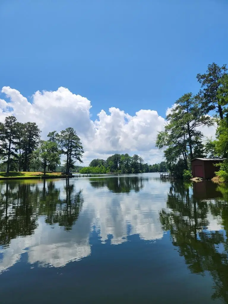 719 Hickory Hill Drive, Burkeville, TX 75932 - #3