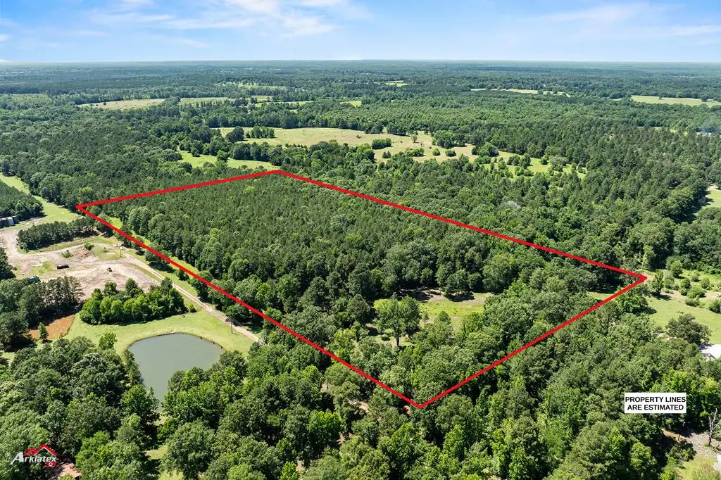 1590 County Road 3801, Joaquin, TX 75954 - #1