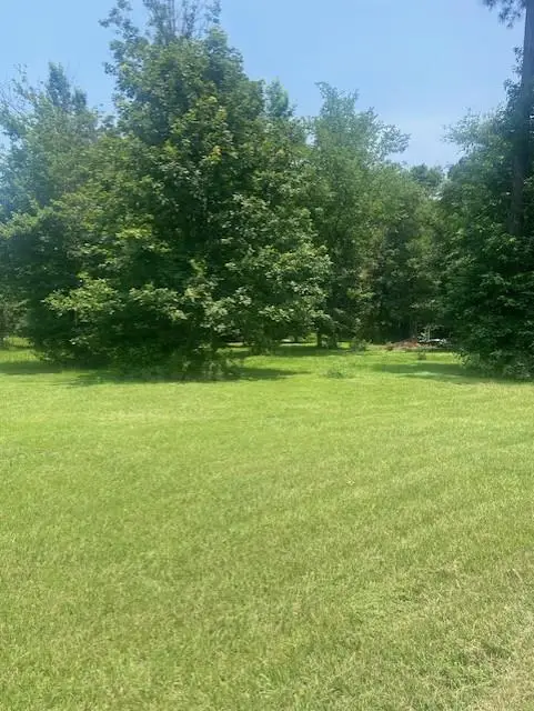 203 Cr 557, Nacogdoches, TX 75961 - #1