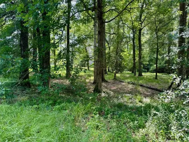Lot 1 Hunterwood Drive, Jasper, TX 75951 - #1