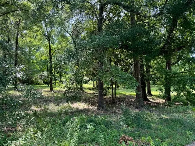 Lot 2 Hunterwood Drive, Jasper, TX 75951 - #1
