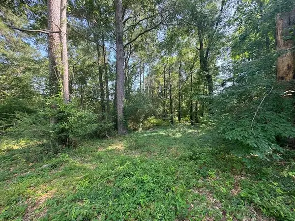 Lot 41 Quail Ridge, Jasper, TX 75951