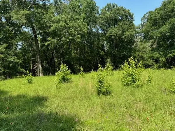 Lot 78 Hunterwood Drive, Jasper, TX 75951