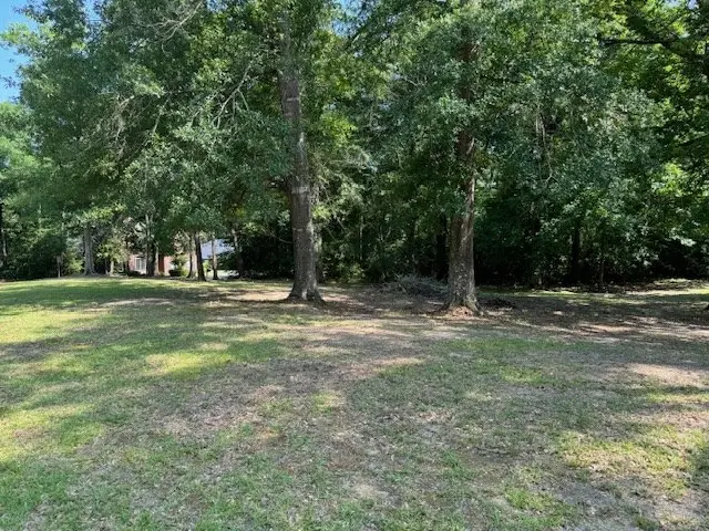 Lot 80 Hunterwood Drive, Jasper, TX 75951 - #3