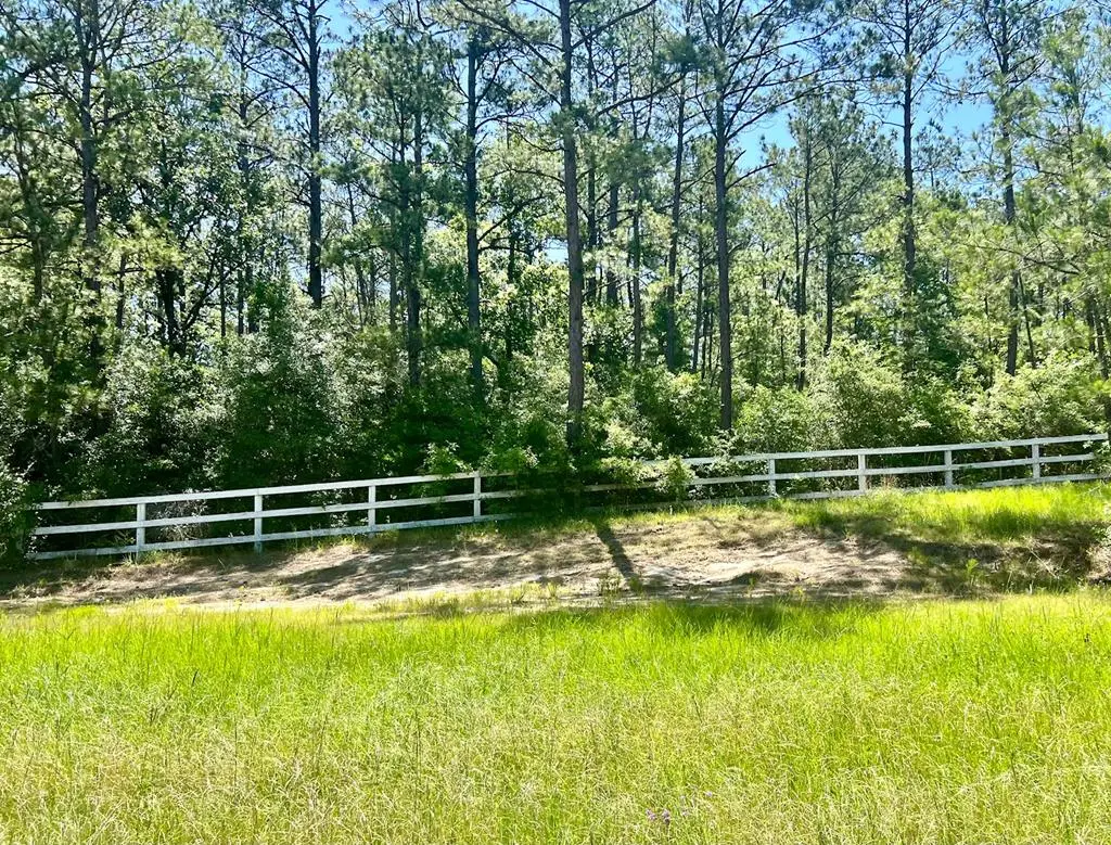 121 Champion Way, Brookeland, TX 75931 - #1