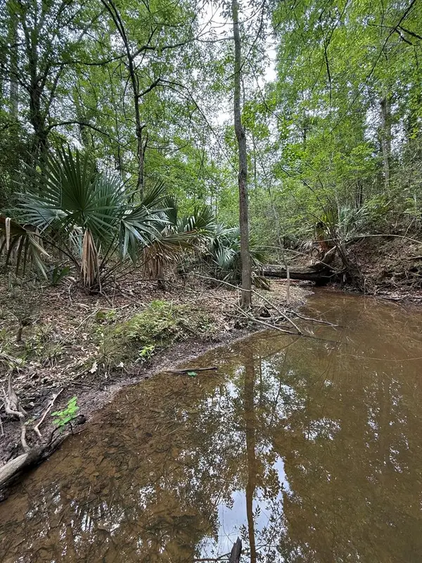 A-449 None, Saratoga, TX 77585