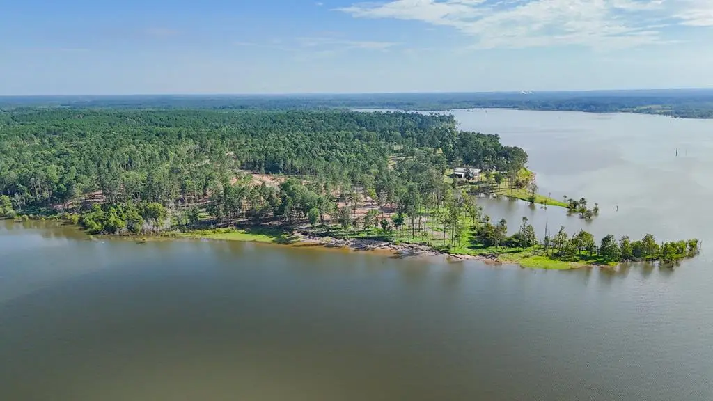 134 Foster Cove, Pineland, TX 75968 - #1