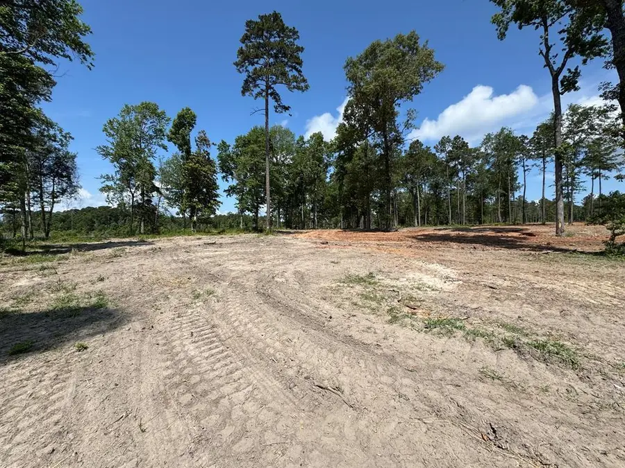 134 Foster Cove, Pineland, TX 75968 - #3