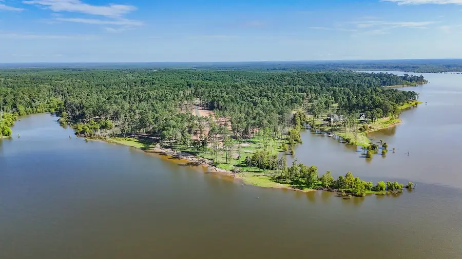 290 Rayburn Ridge, Pineland, TX 75968 - #3