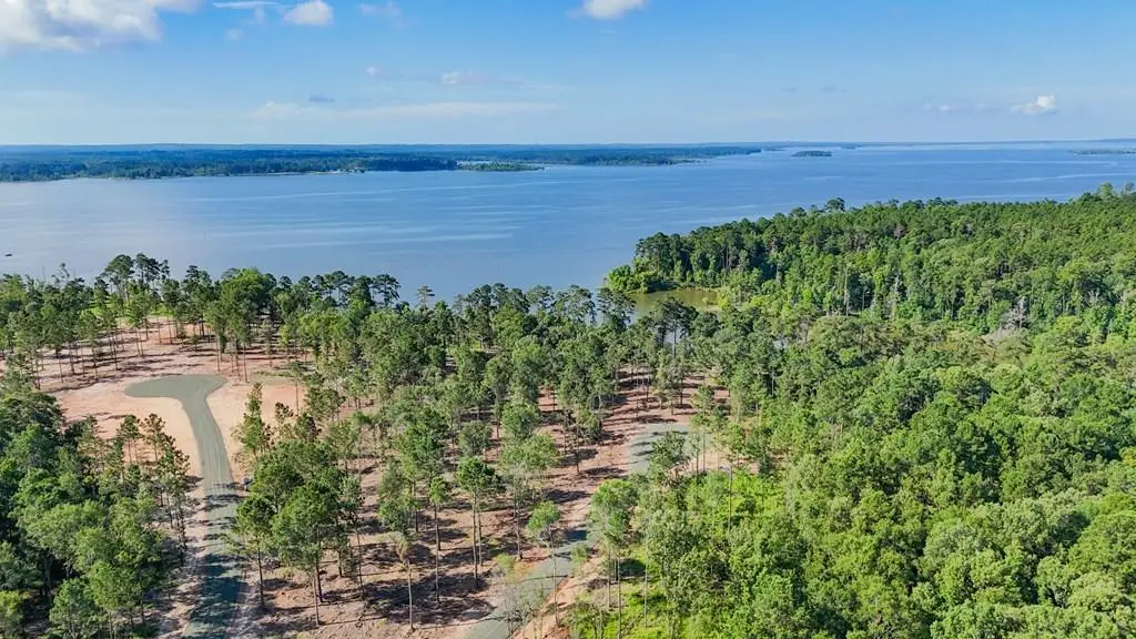 324 Rayburn Ridge, Pineland, TX 75968 - #1