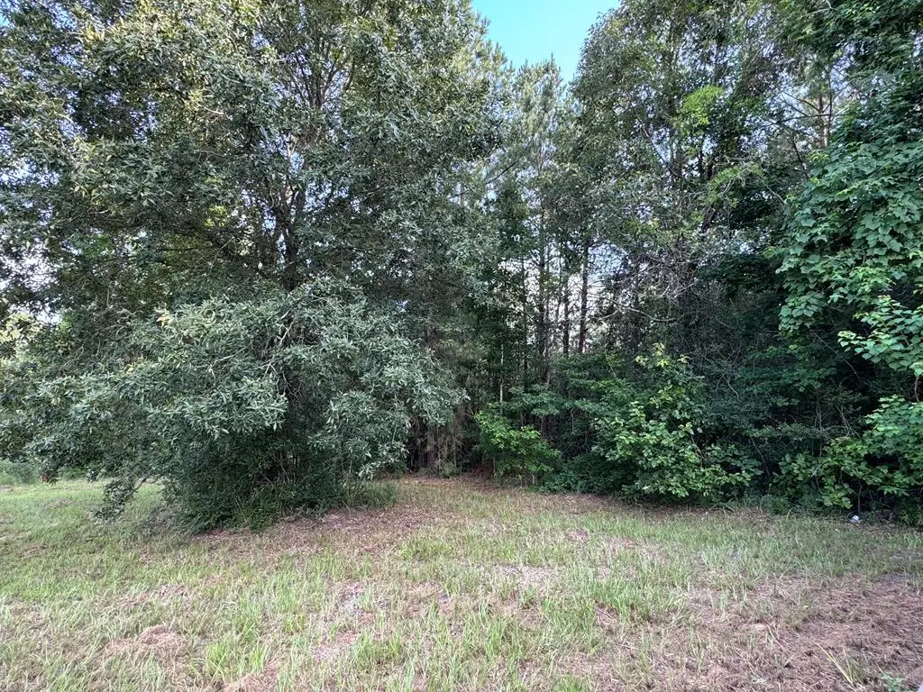 95 Red Wolf Lane, Brookeland, TX 75931 - #1