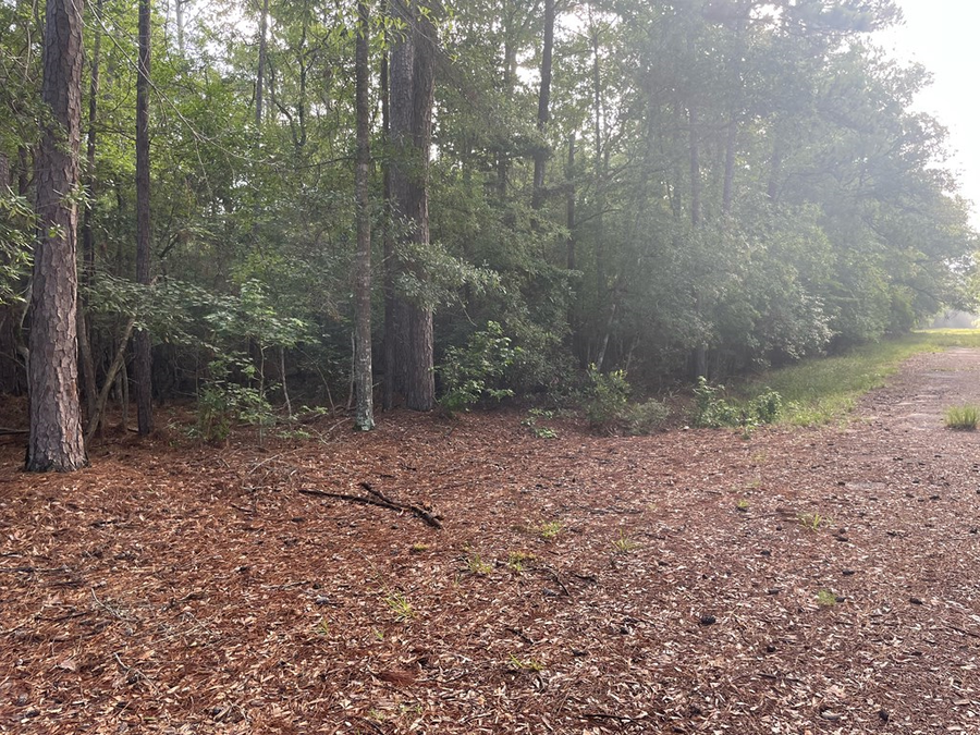 LOT 2 Buckeye, Village Mills, TX 77663 - #2
