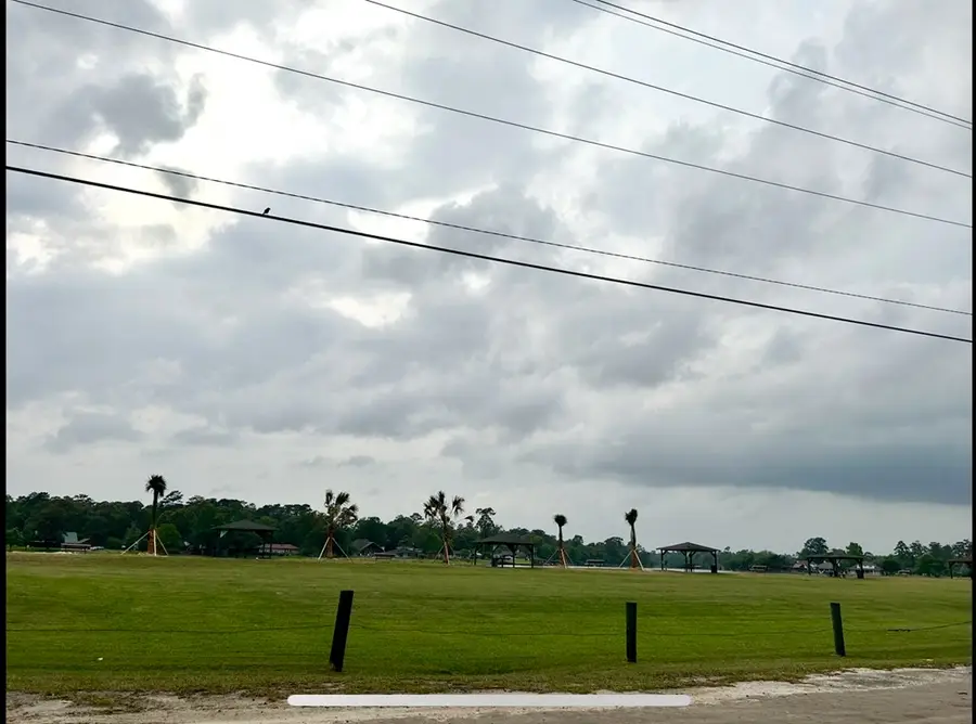 LOT 2 Buckeye, Village Mills, TX 77663 - #3