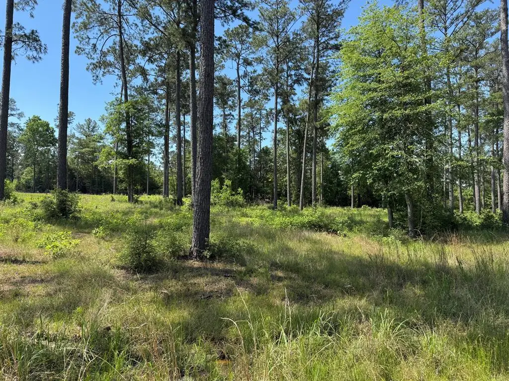 Lot 006 Pr 6028, Brookeland, TX 75931 - #1