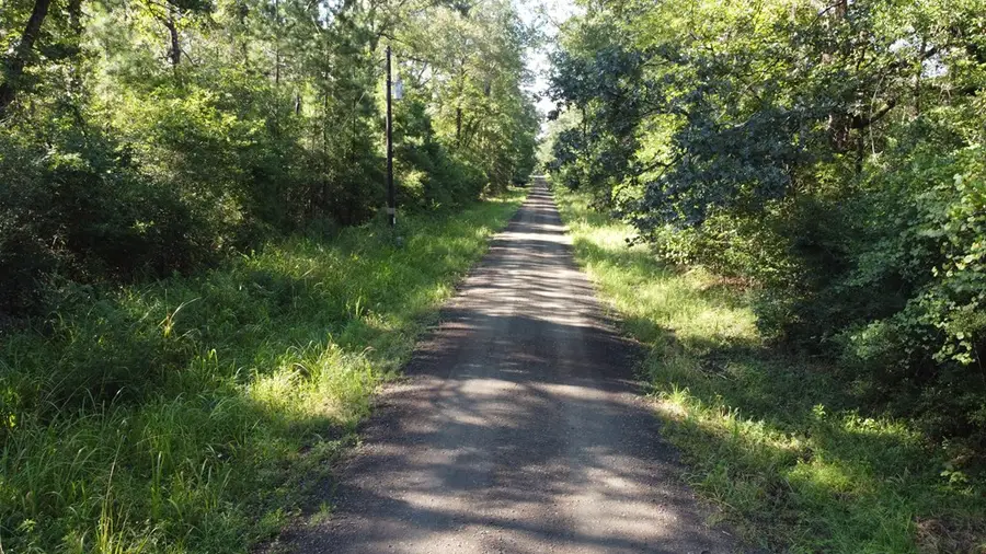 359 Mallard, Hemphill, TX 75948 - #3