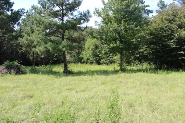 Lots 24 & 25 County Road 173, Jasper, TX 75951