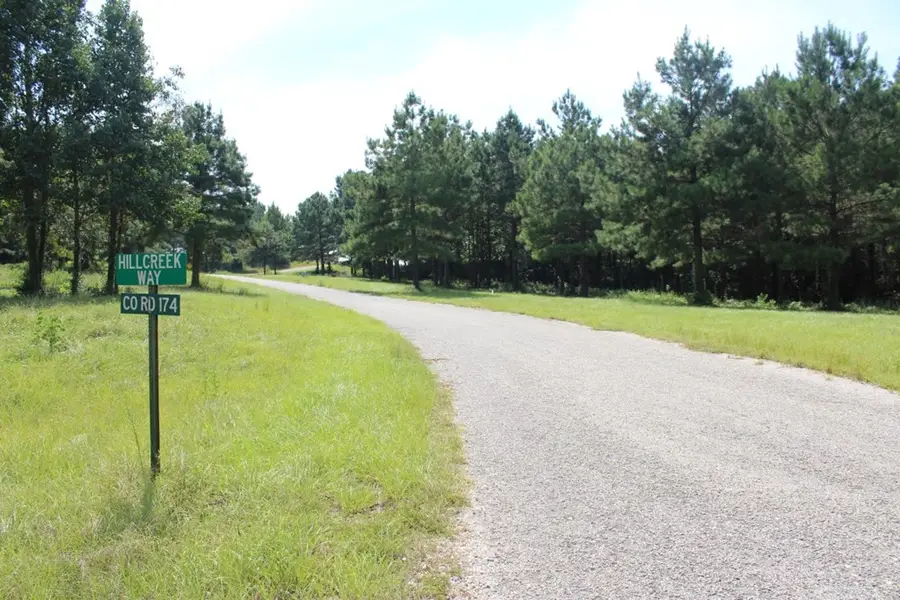 Lots 24 & 25 County Road 173, Jasper, TX 75951 - #3