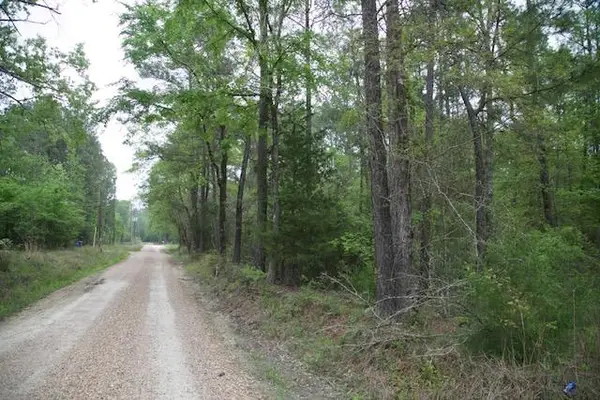 258 Hearne Rd, Corrigan, TX 75939