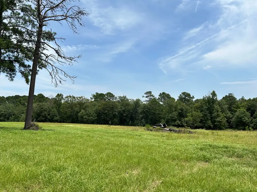 LOT 378 Madison, Woodville, TX 75979 - #2