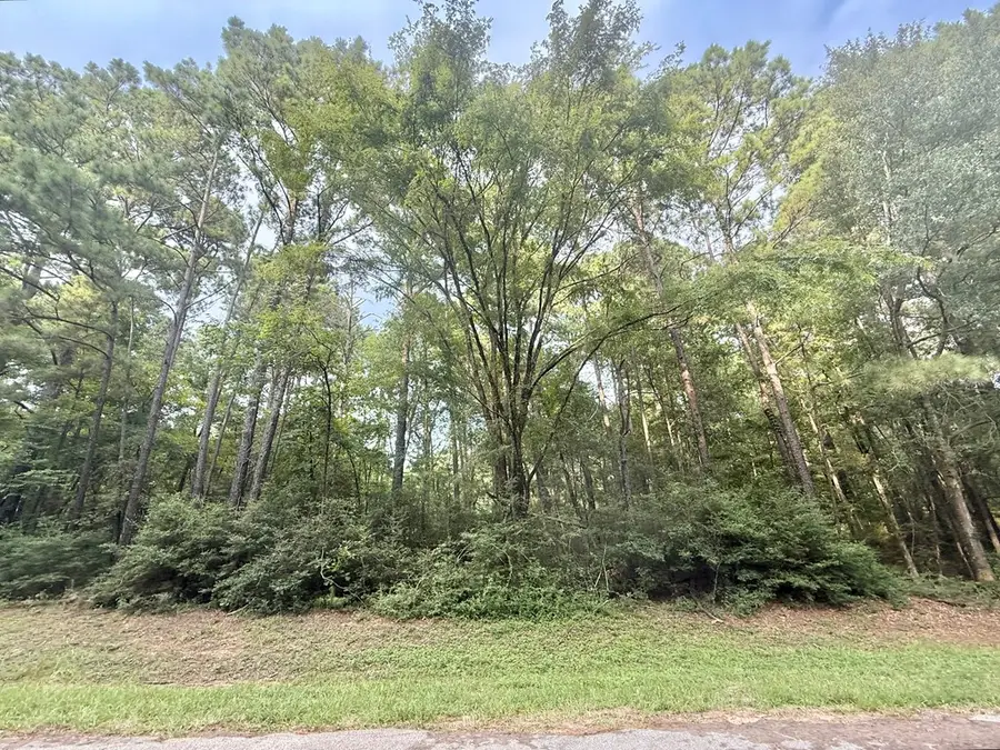 Lot: 822 Admiral Drive, Hemphill, TX 75948 - #2