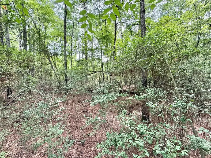 Lot: 822 Admiral Drive, Hemphill, TX 75948 - #3