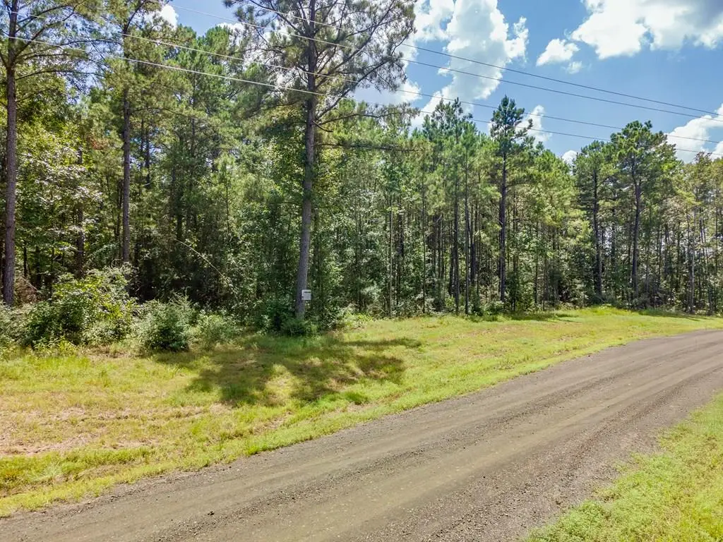 Lot #36 Eagles Nest, Broaddus, TX 75929 - #1
