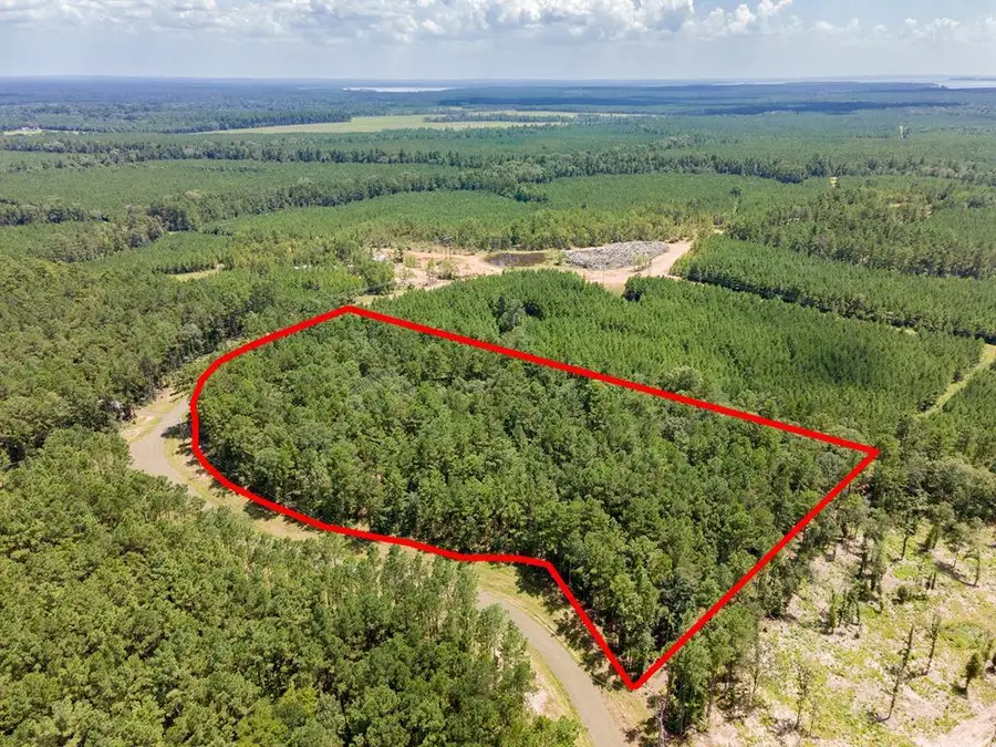 Lot #36 Eagles Nest, Broaddus, TX 75929 - #2